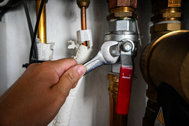 Best Local Plumber Services  in Wake Village, TX
